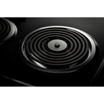 Amana 30" Stainless Steel Electric Range (4.80 Cu Ft) - YACR4303MMS