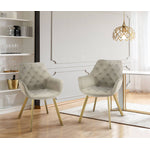 Ayami Dining Arm Chair - Beige, Gold