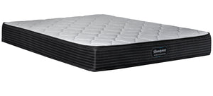 Simmons Beautyrest Ultra Newton Firm Queen Mattress