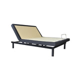 Reflexion Lift Twin XL Head-Up Adjustable Base