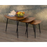 Brea Nesting Tables (Set of 3) - Oak and Black