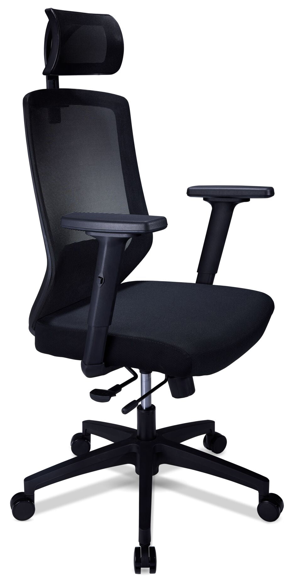 Dinah Ergonomic Office Chair - Graphite