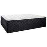 Sealy Familiar Plush Queen Mattress and Split Boxspring Set