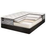 Sealy Visual Cushion Firm Full Mattress and Boxspring Set
