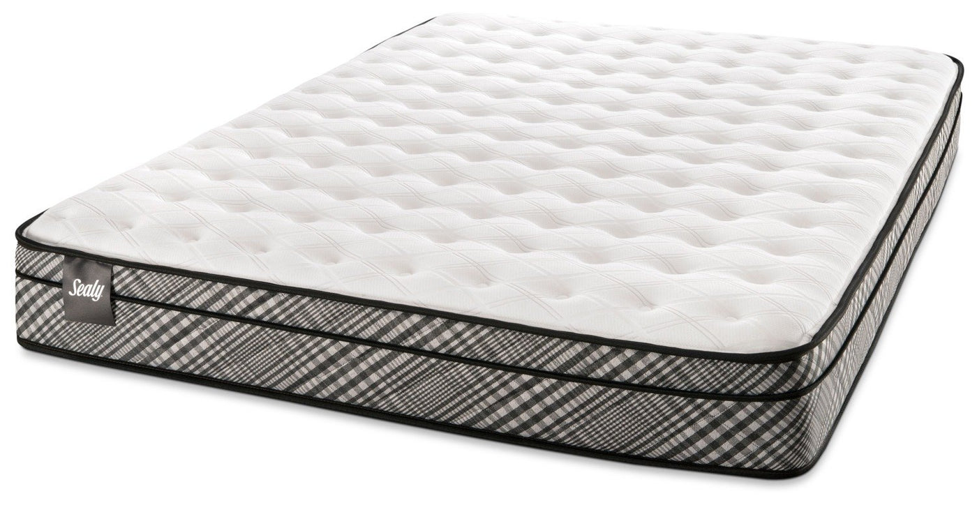 Sealy Visual Cushion Firm Twin Mattress and Boxspring Set