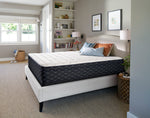 Sealy Narrative Cushion Firm King  Mattress