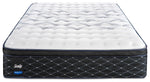 Sealy Entity Plush Queen Mattress