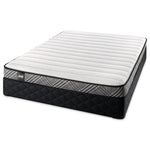 Sealy Notion Firm Twin XL Mattress and Boxspring Set