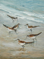 Beach Birds Canvas Print (36" X 48")