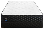 Sealy Familiar Plush Queen Mattress and Boxspring Set