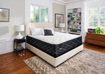 Sealy 5K Firm Queen Mattress and Low-Profile Boxspring Set