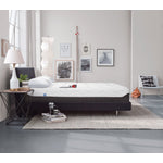 Tempur-Pedic Appeal 2.0 Cushion Firm Queen Mattress