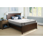 Sealy Visual Cushion Firm Full Mattress and Boxspring Set