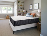 Sealy Innovate Extra Firm Queen Mattress and Boxspring Set