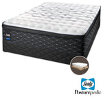 Sealy Entity Plush Queen Mattress and Split Boxspring Set