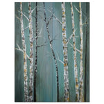 Serenity Canvas Print (36" X 48")