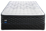 Sealy Entity Plush Queen Mattress and Split Boxspring Set