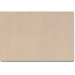 Collier Loveseat - Beige