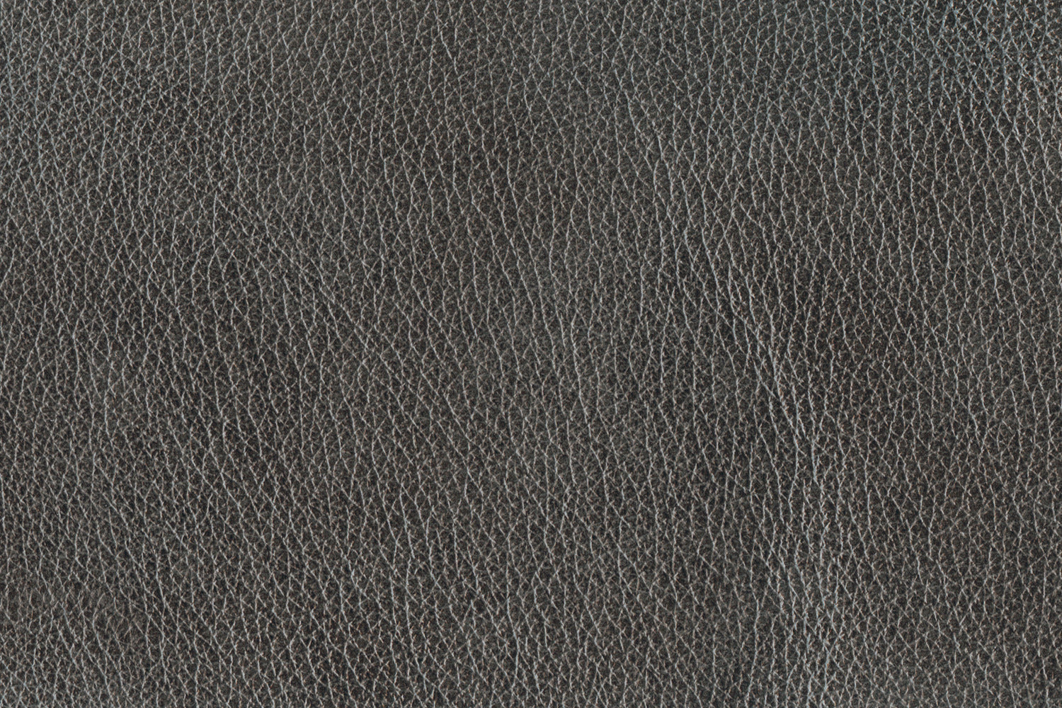Stampede Loveseat - Charcoal