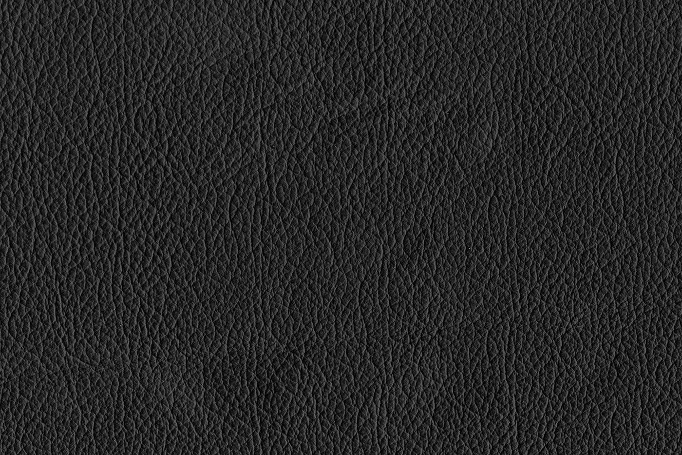 Reynolds Leather Loveseat - Black