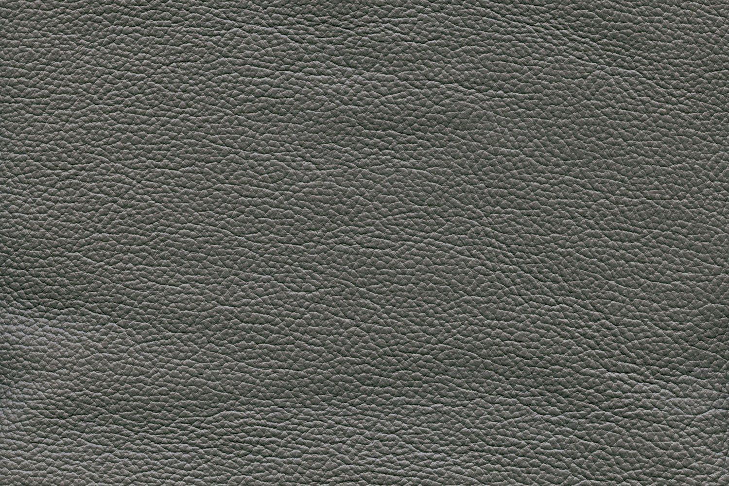 Reynolds Leather Loveseat - Dark Grey