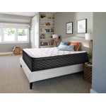 Sealy Entity Firm Queen Mattress and Boxspring Set