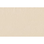 Braylon Sofa and Chair Set - Bisque