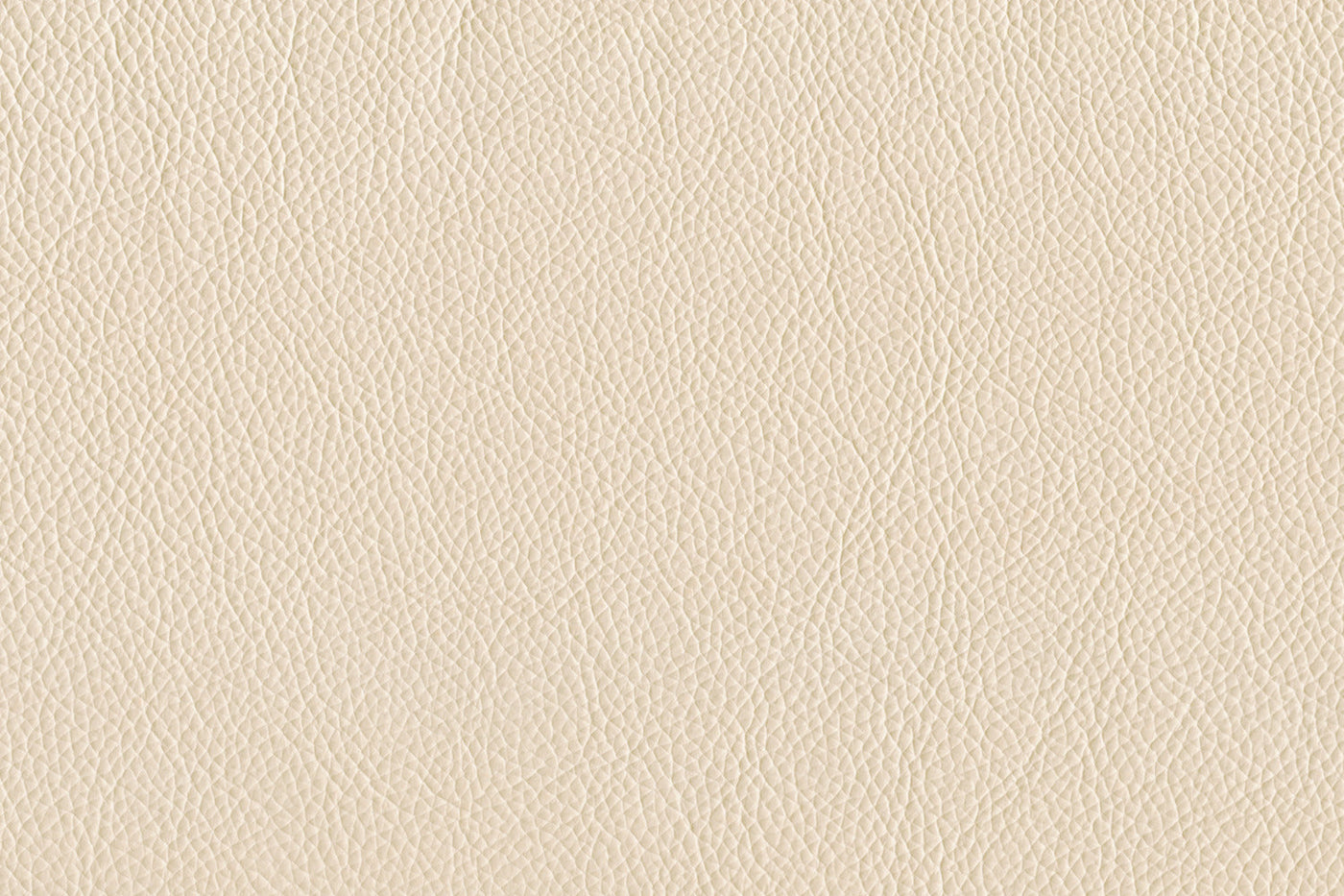 Braylon Sofa and Loveseat Set - Bisque
