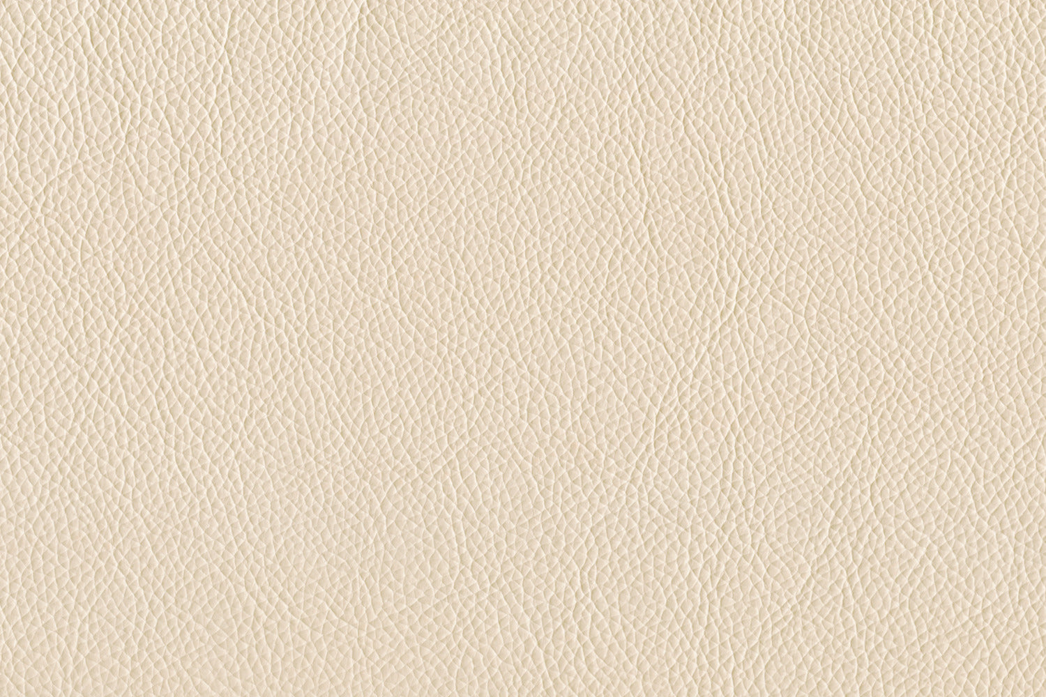 Braylon Sofa - Bisque