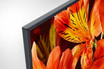 Sony 65" 4K UHD HDR Android TV - XBR65X850F