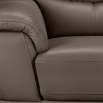 Braylon Leather Sofa and Chair Set - African Grey