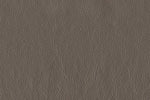 Braylon Leather Chair - African Grey