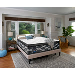 Sealy Mastery Hybrid Plush King Mattress
