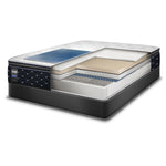 Sealy Narrative Cushion Firm Full Mattress and Low-Profile Boxspring Set