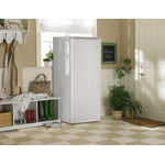 Danby White All-Refrigerator (11 Cu. Ft.) - DAR110A1WDD