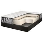 Sealy Notion Firm Twin Mattress