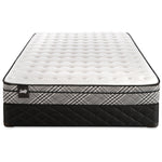 Sealy Visual Cushion Firm Queen Mattress and Boxspring Set