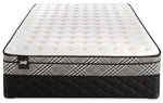 Sealy Visual Cushion Firm Queen Mattress and Boxspring Set
