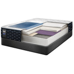 Sealy Familiar Plush Queen Mattress and Split Boxspring Set