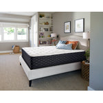 Sealy Familiar Plush Queen Mattress and Boxspring Set