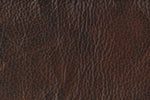 Stampede Leather Chair - Coffee