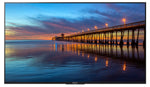 Sony 55" 4K UHD HDR Android TV - XBR55X800E