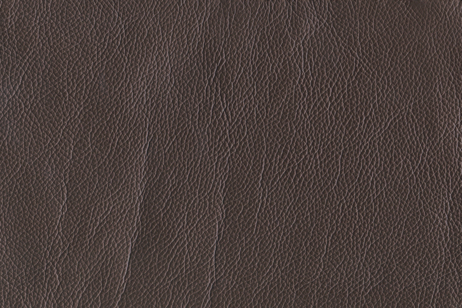 Braylon Sofa - Dark Chocolate