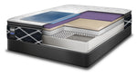 Sealy Mastery Hybrid Plush Queen Mattress